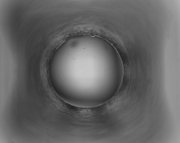 X0000114091489200910051414