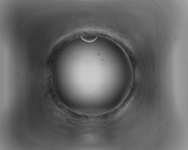 X0000114091494200910051414