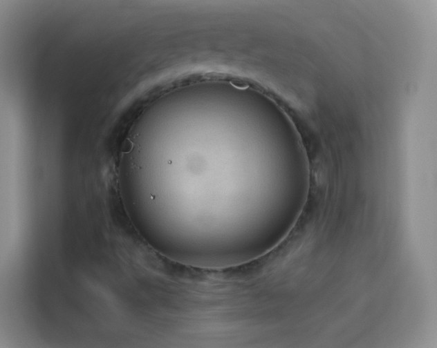 X0000114091495200910051414