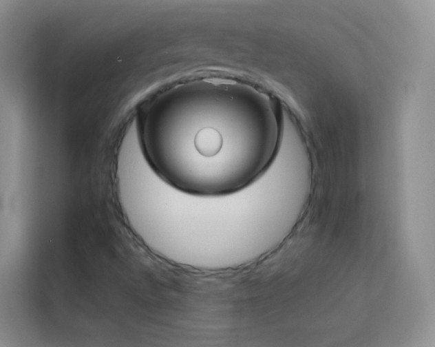 X0000114091496200910051414