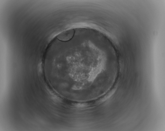 X0000114091497200910051414