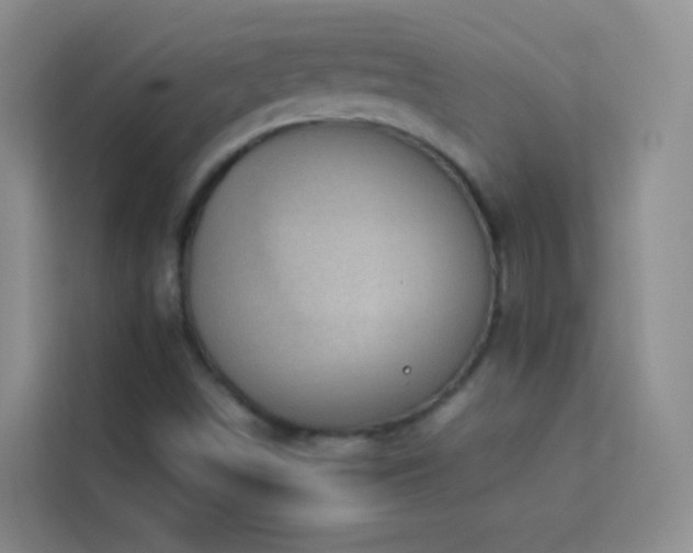 X0000114091498200910051414