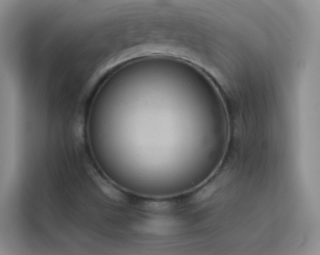 X0000114091499200910051414