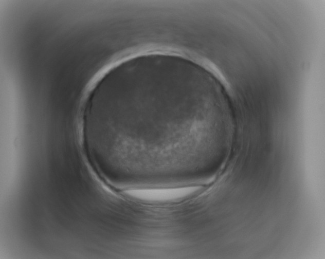 X0000114091504200910051415