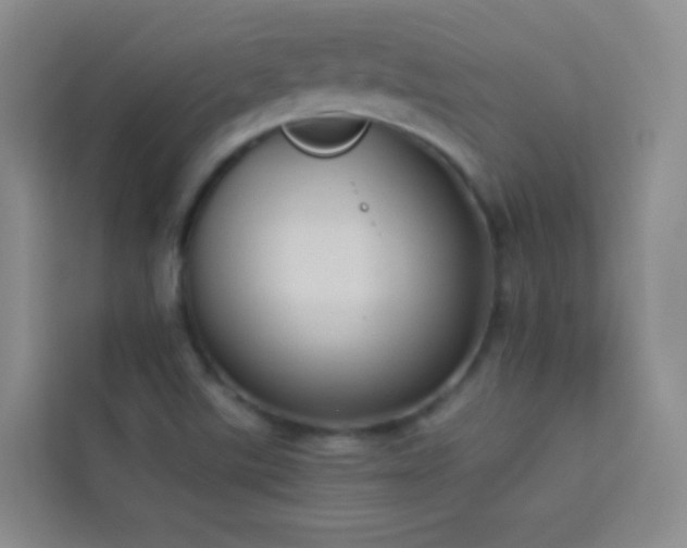 X0000114091507200910051415