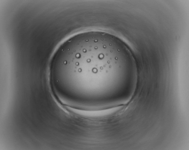 X0000114091508200910051415