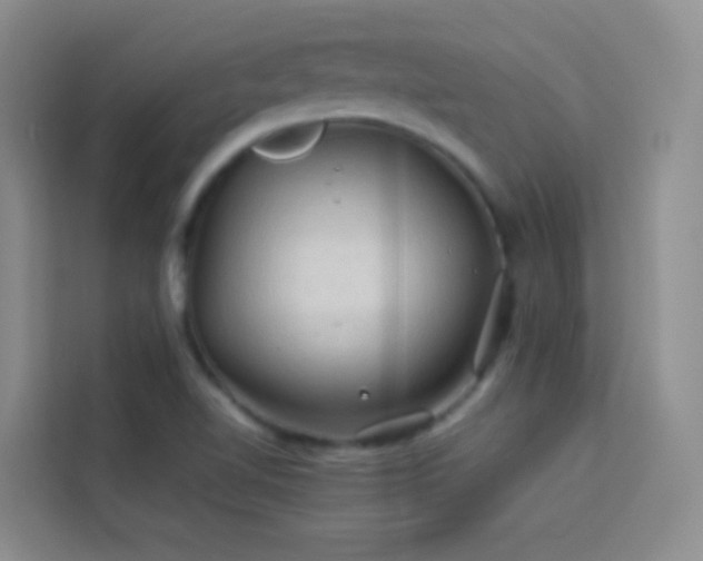 X0000114091510200910051415