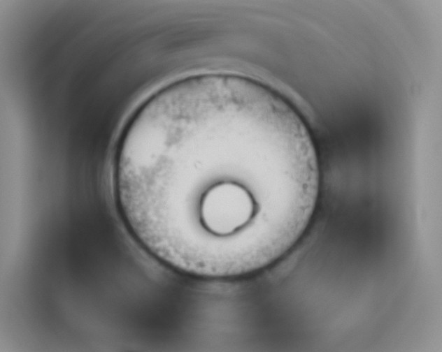 X0000114091514200910051415