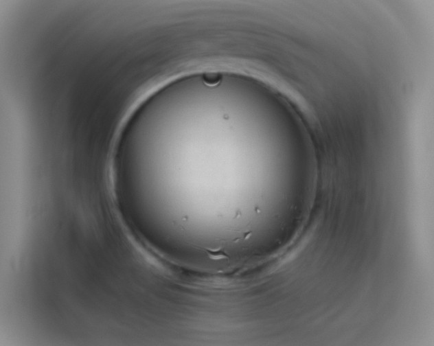X0000114091517200910051415