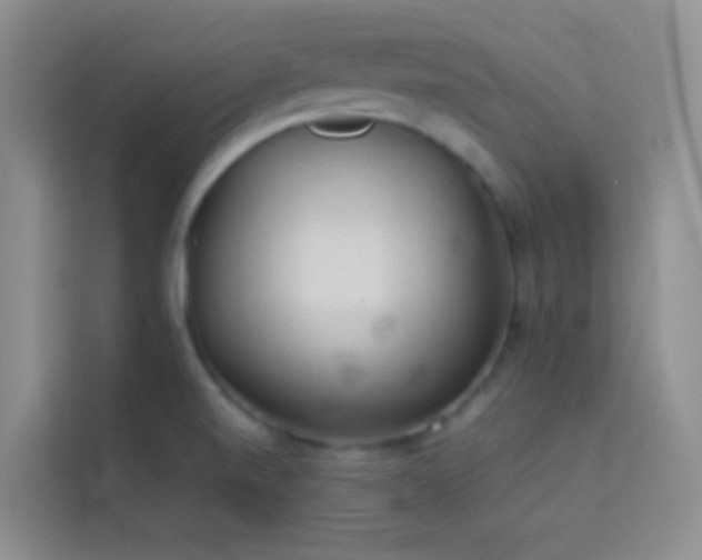 X0000114091520200910051415