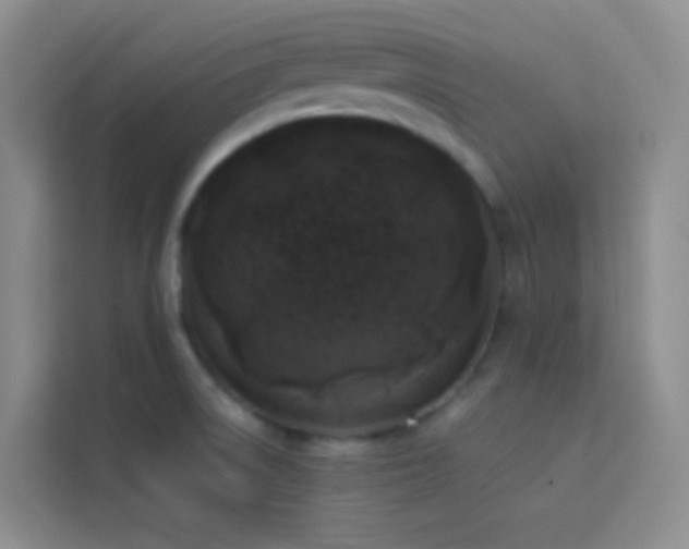 X0000114091522200910051415