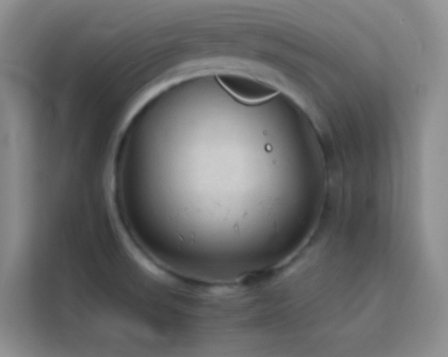 X0000114091523200910051415