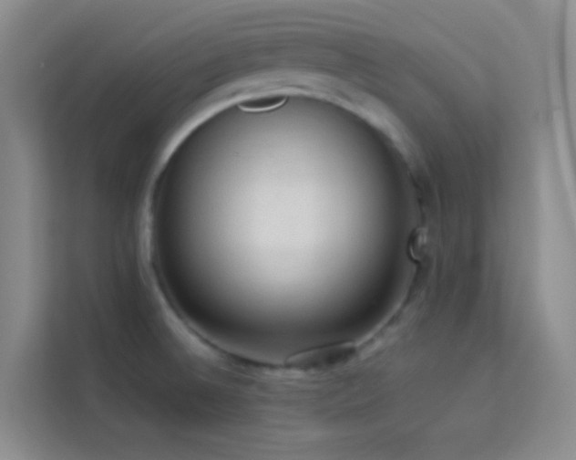 X0000114091524200910051415