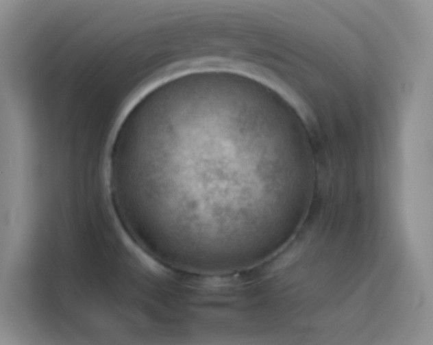 X0000114091527200910051415
