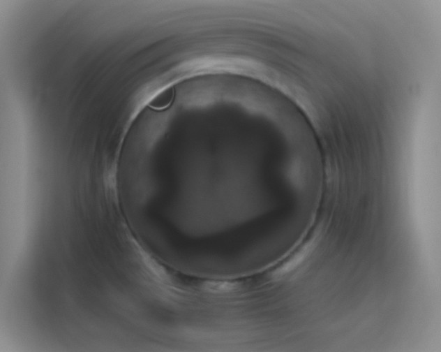 X0000114091529200910051415