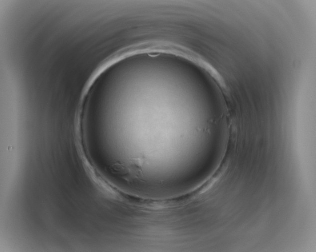 X0000114091530200910051415