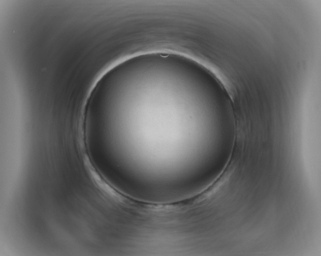 X0000114091534200910051415