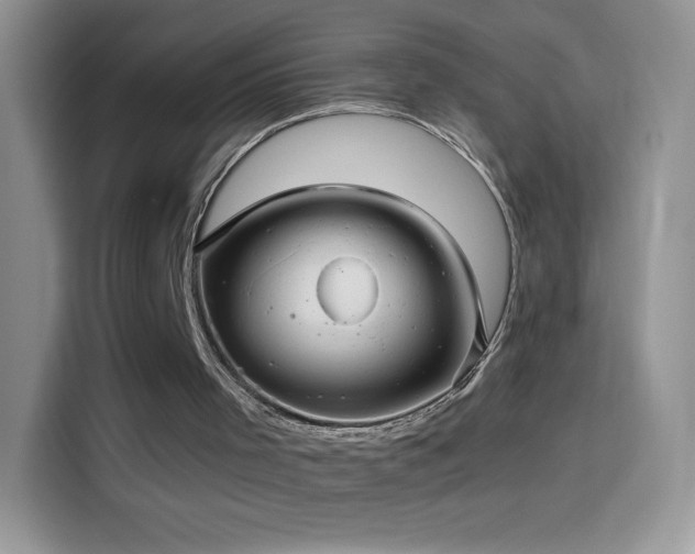 X0000114090001200910131306