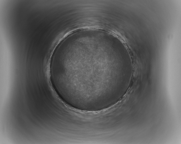 X0000114090002200910131306