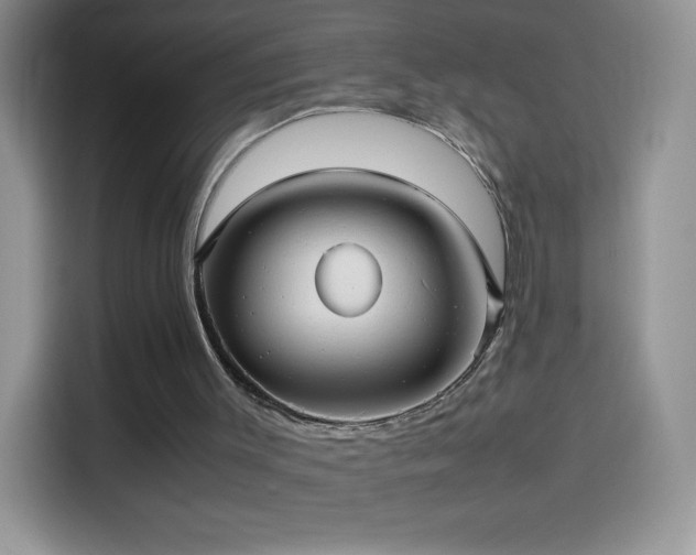 X0000114090003200910131306