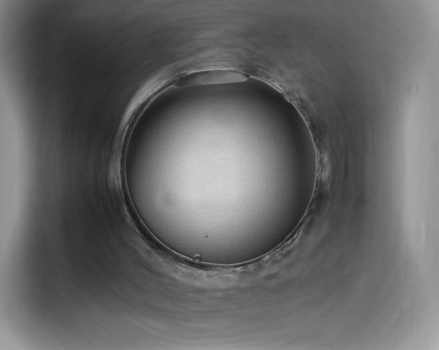 X0000114090004200910131306