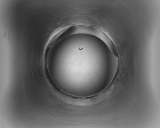 X0000114090008200910131306
