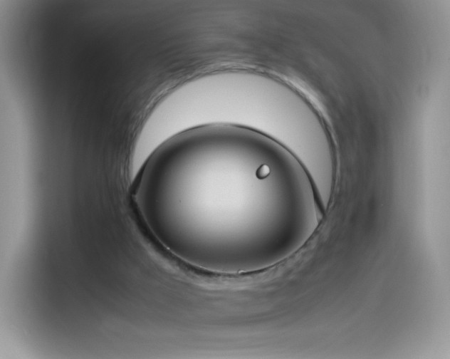 X0000114090009200910131306