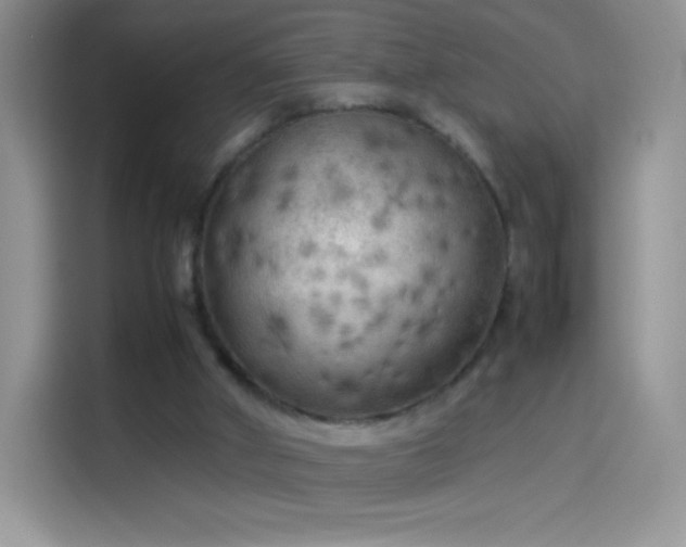 X0000114090010200910131306