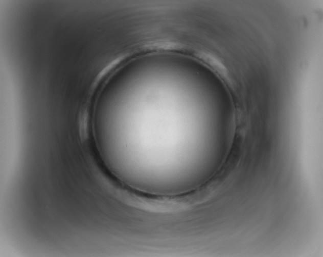 X0000114090012200910131306