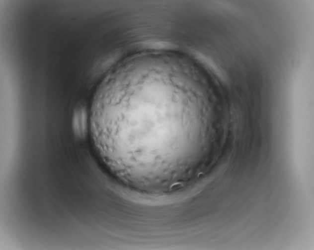 X0000114090014200910131306