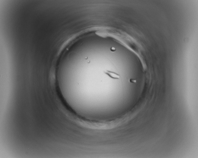 X0000114090015200910131306