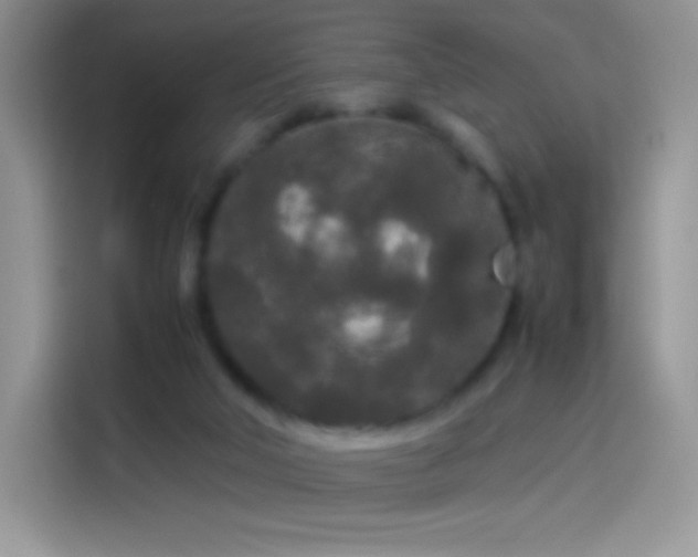X0000114090018200910131306