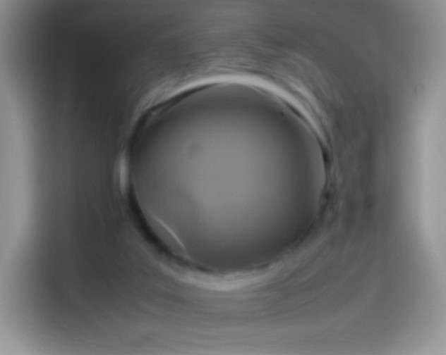 X0000114090019200910131306