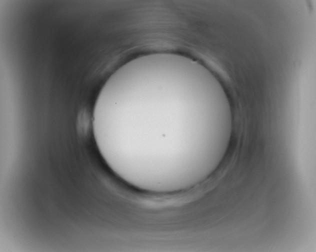 X0000114090021200910131306