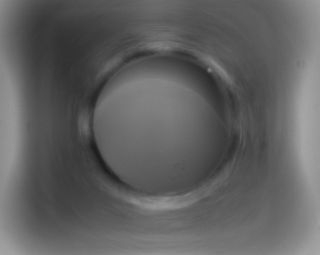 X0000114090023200910131306