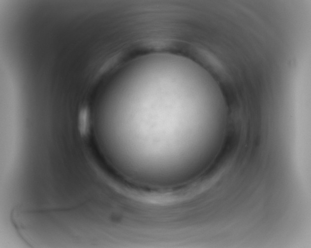 X0000114090024200910131306
