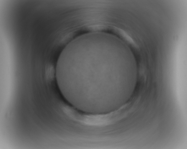 X0000114090025200910131306