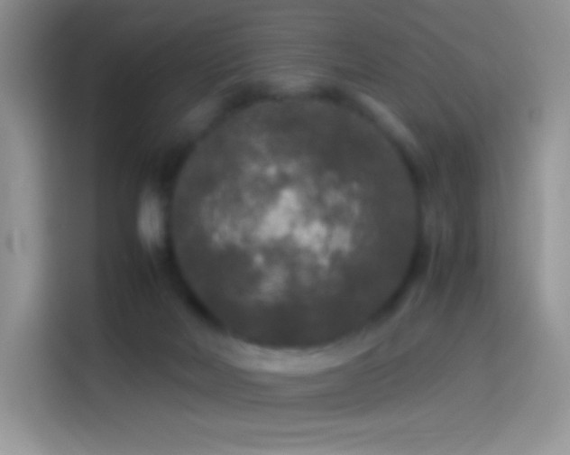 X0000114090026200910131306