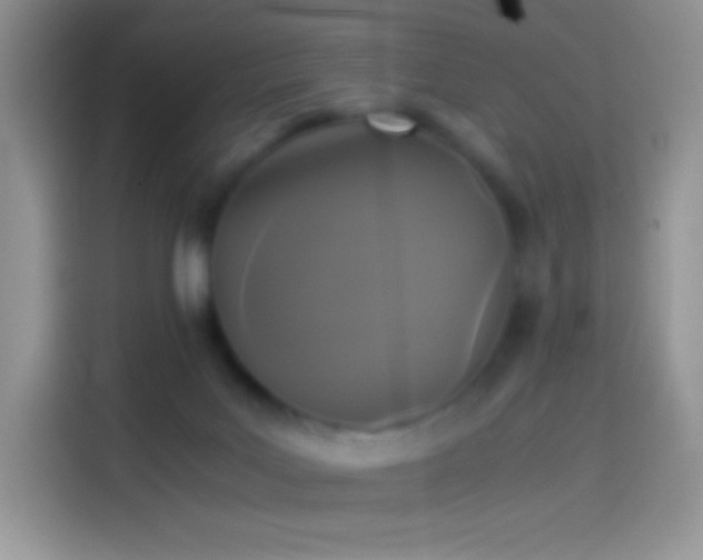 X0000114090027200910131306