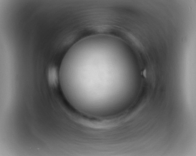 X0000114090028200910131306