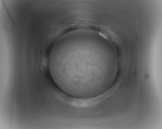 X0000114090033200910131305