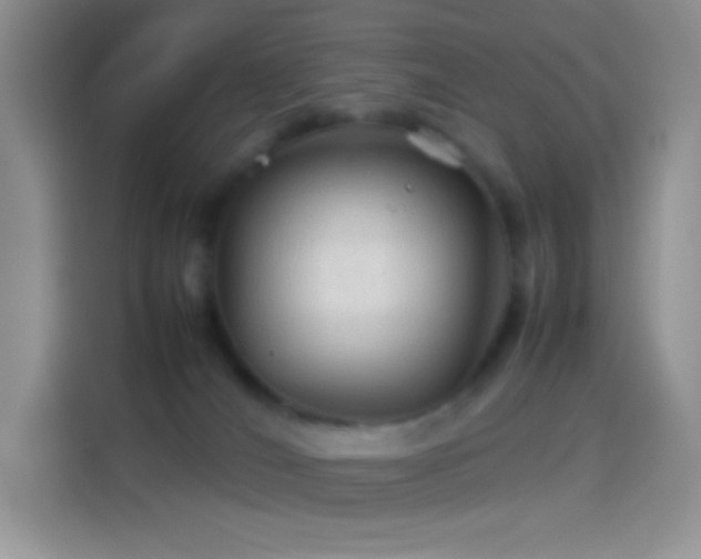 X0000114090036200910131305