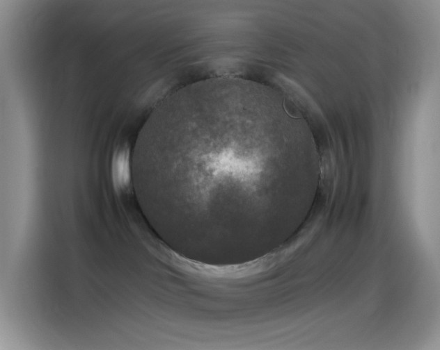 X0000114090046200910131305