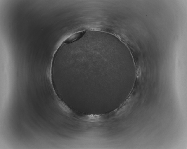 X0000114090052200910131305