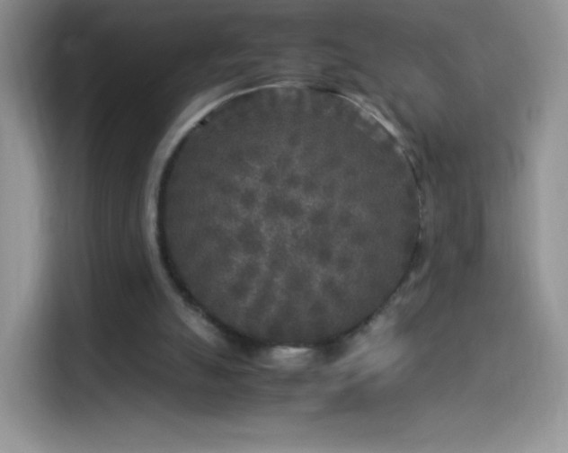 X0000114090055200910131305