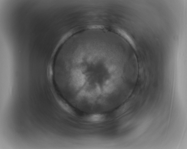 X0000114090059200910131305
