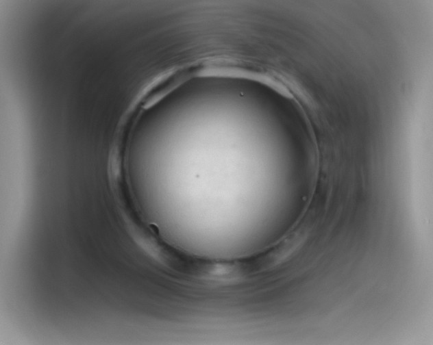 X0000114090060200910131305