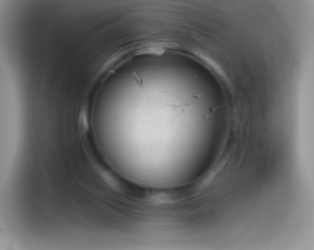 X0000114090062200910131305