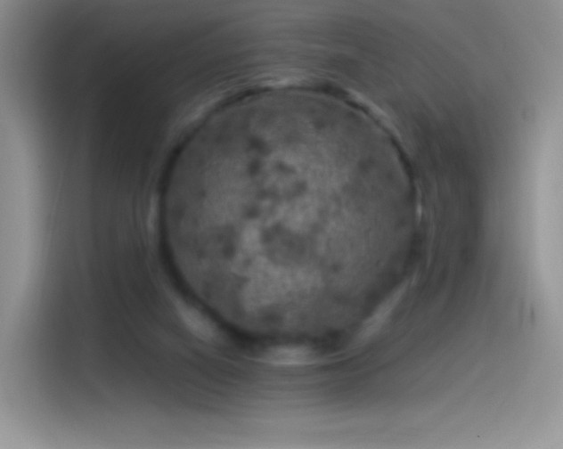 X0000114090066200910131305