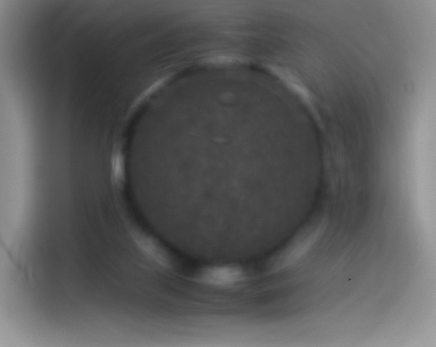 X0000114090067200910131305